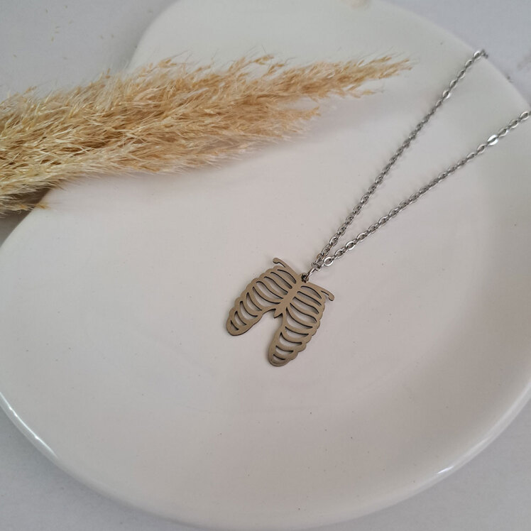 گردنبند مدل جناغ سینه 