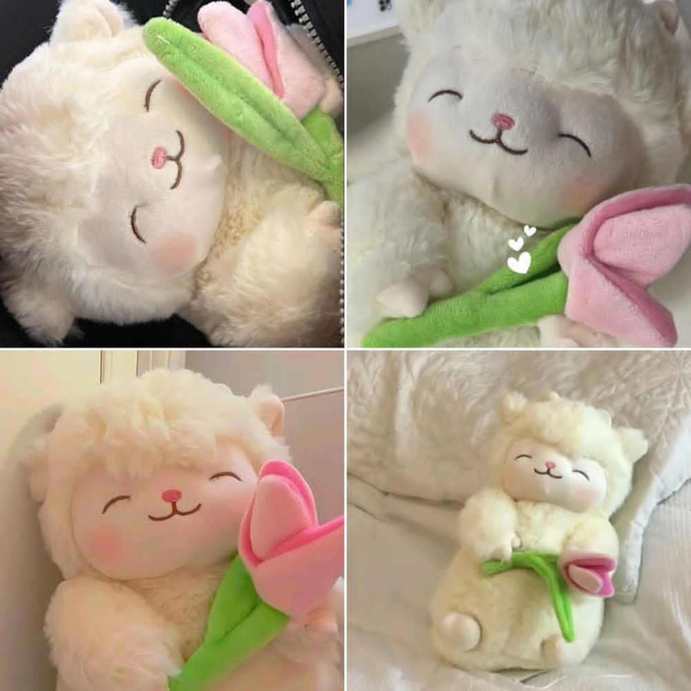  عروسک ببعی گل به دست 